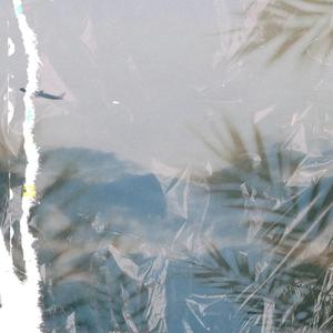 性残虐女人俱乐部
