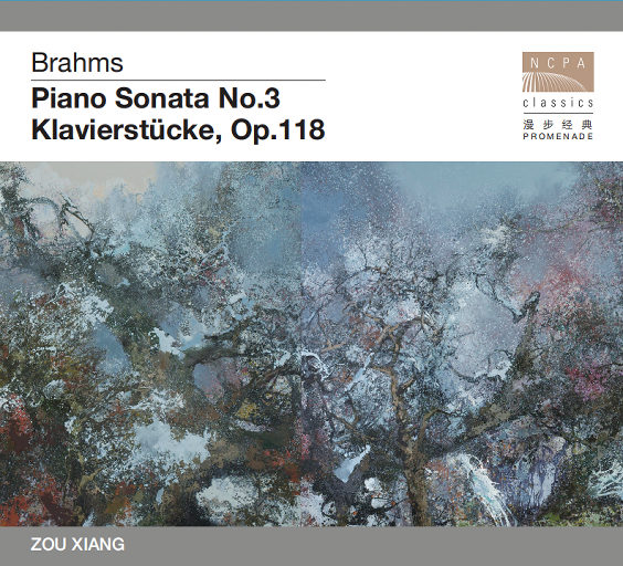 性残虐女人俱乐部
